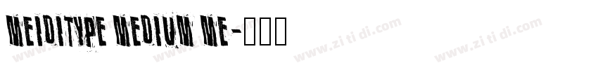 MEIDITYPE MEDIUM ME字体转换